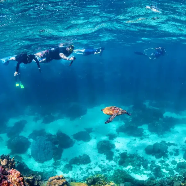 ningaloo reef tours from perth