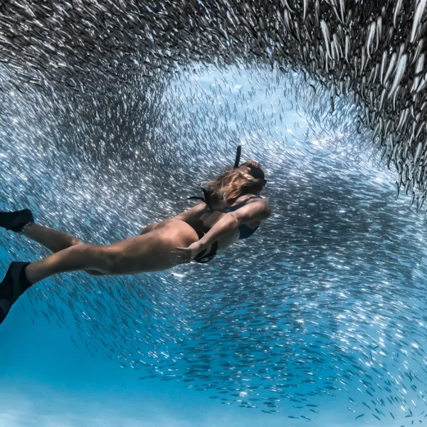 ningaloo reef tours