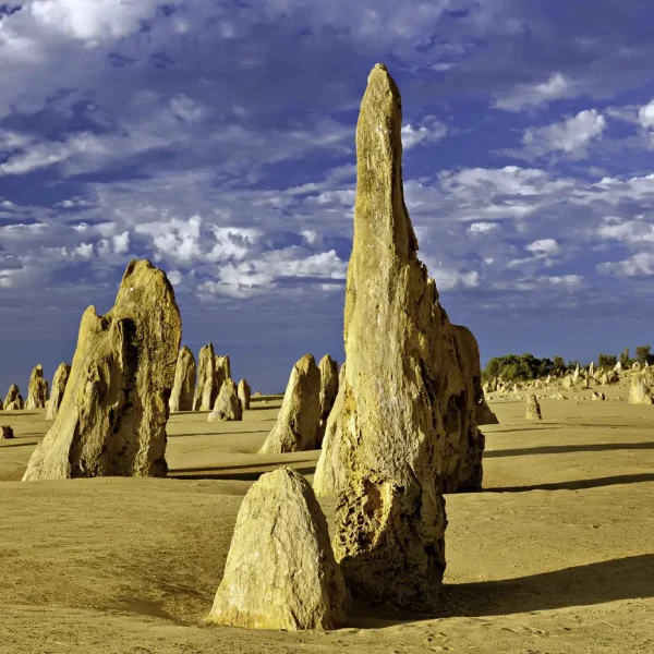 perth trips