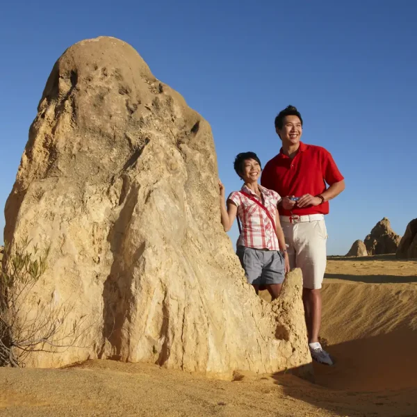 pinnacles day tour