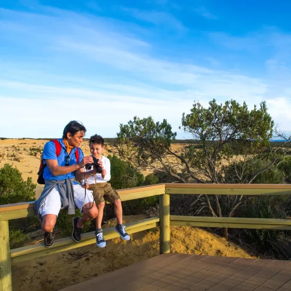 pinnacles day trip
