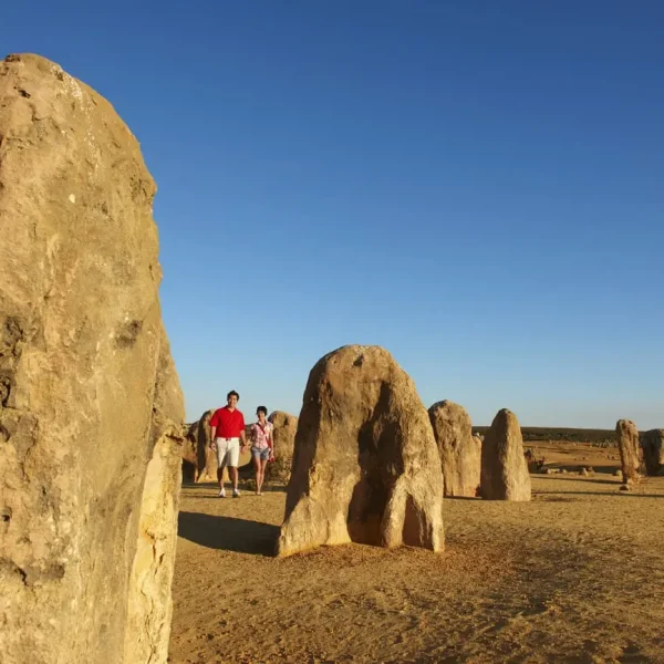pinnacles desert