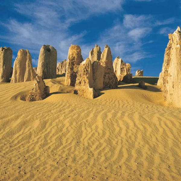 pinnacles desert tour