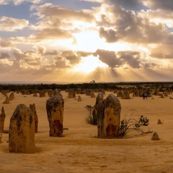 pinnacles packages deals