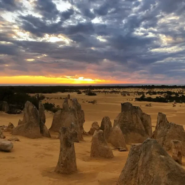 pinnacles stargazing tour