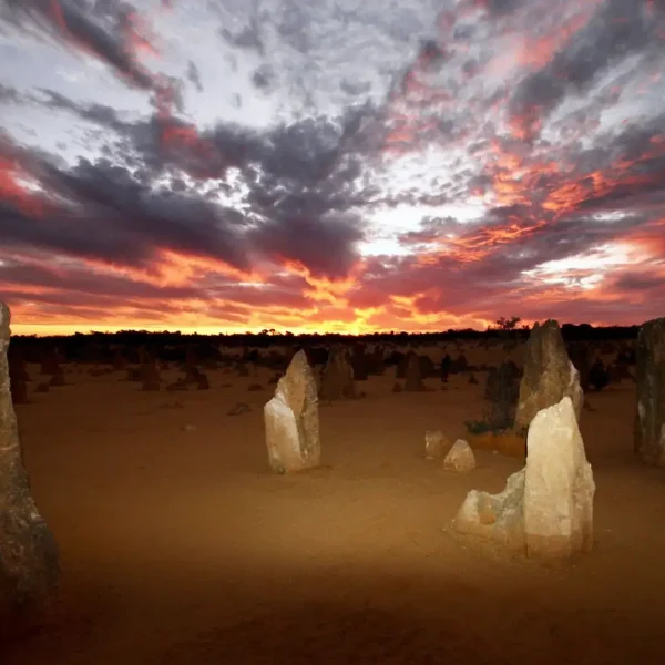 pinnacles tour cheap