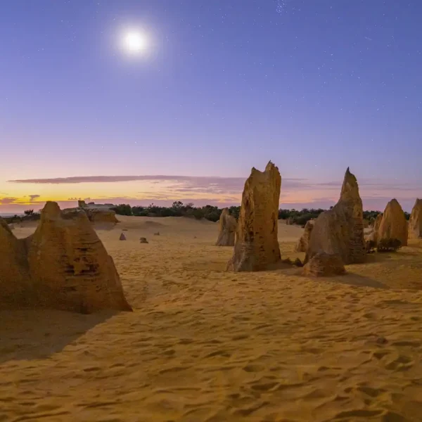 pinnacles tour perth