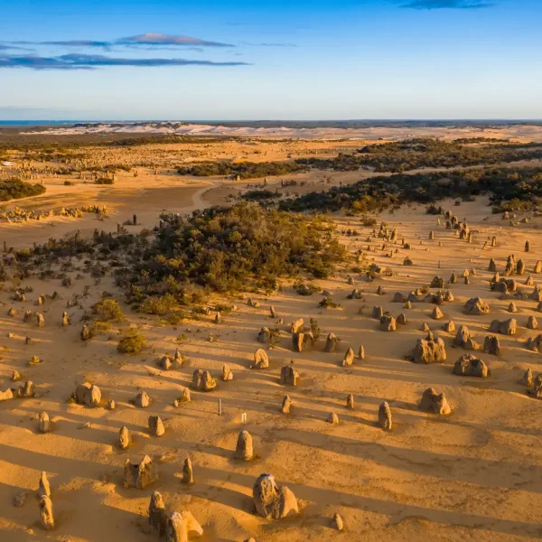 pinnacles tour
