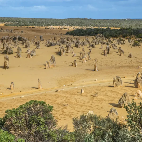 pinnacles wa