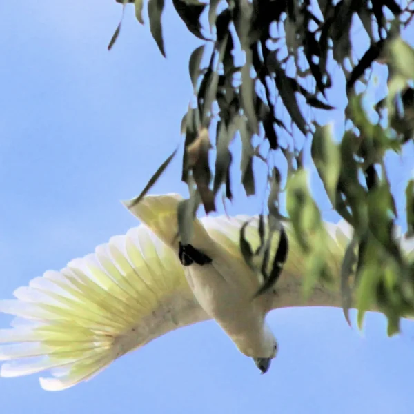 small group tours western australia