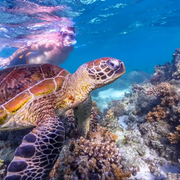 snorkeling tours exmouth