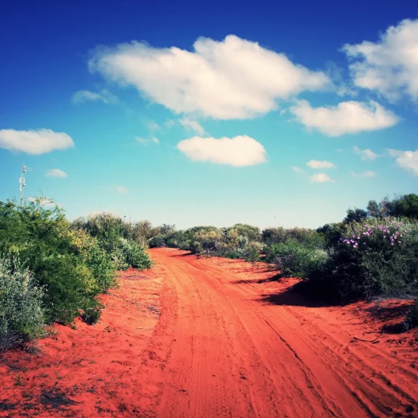 tours from perth to monkey mia
