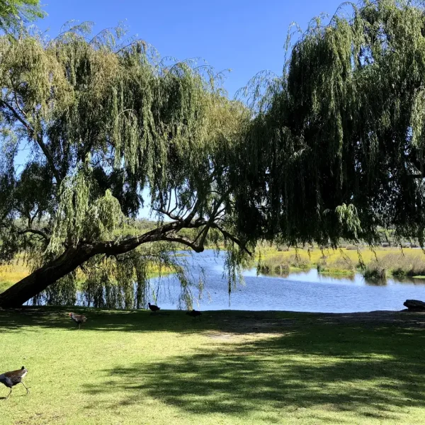 wa tours from perth