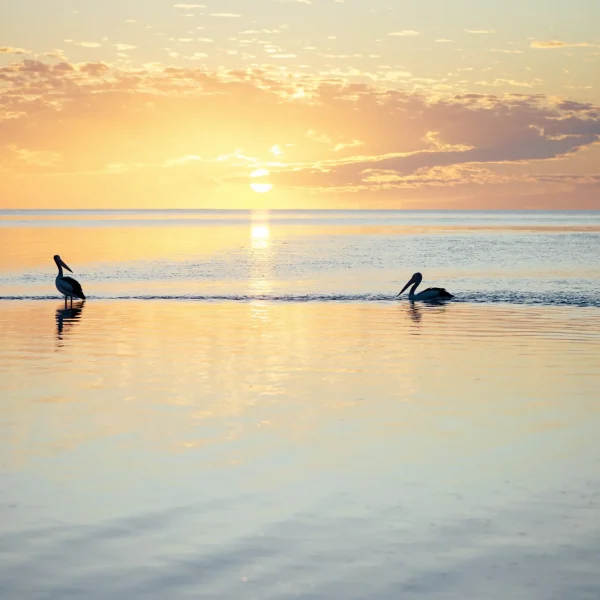 western australia bus tours