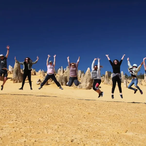 wildflower tour wa