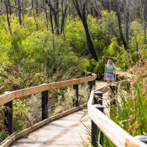 wildflower tours perth wa