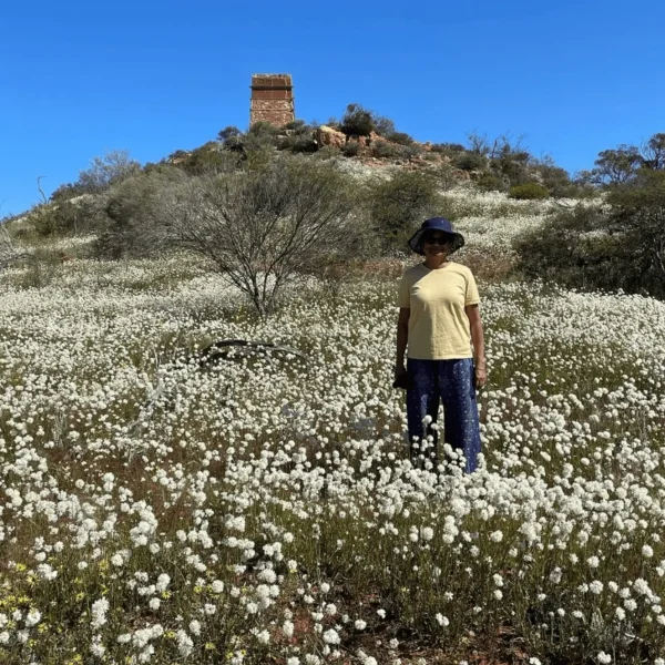 wildflowers tours wa