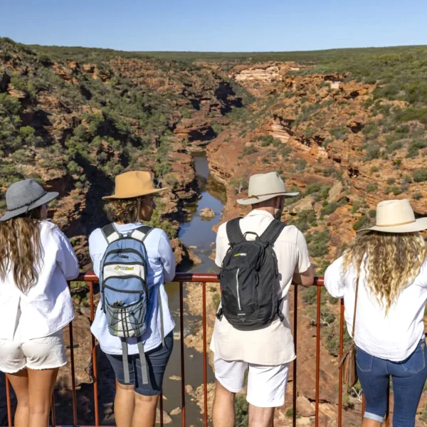 guided south west coast 4x4 tour