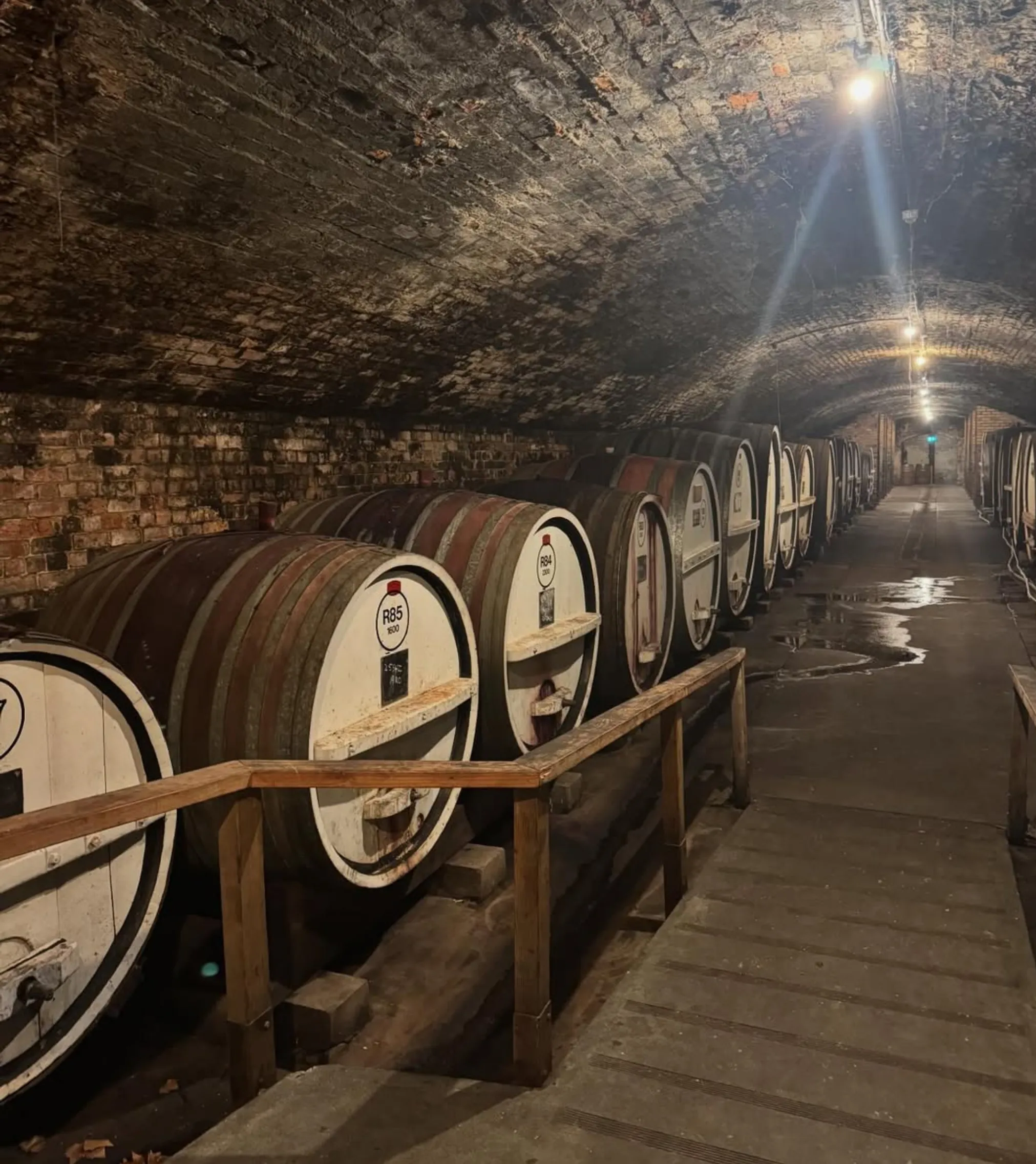 is 2026 a good year for Victorian Chardonnay