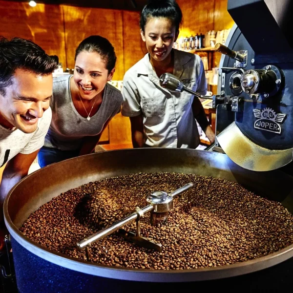 margaret river 3 day tours from perth