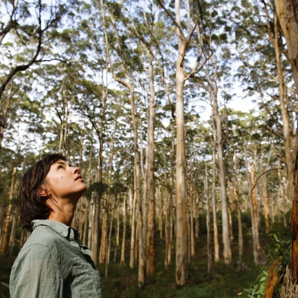 margaret river discovery tour