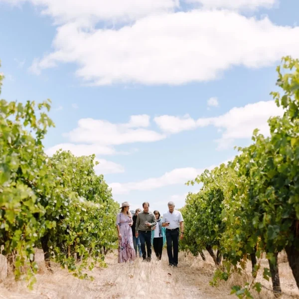 margaret river discovery tours