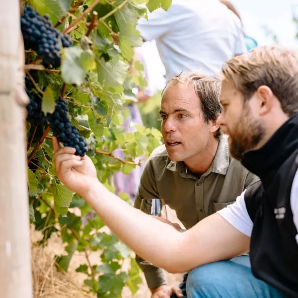 margaret river tours from perth