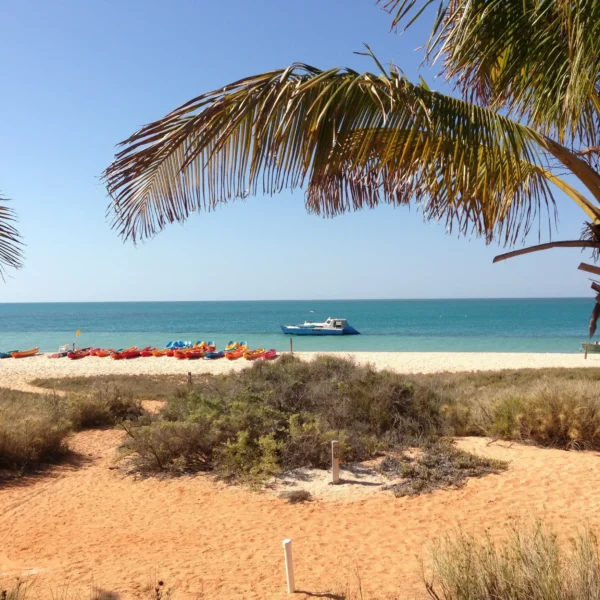 Watch the sunset over the Indian Ocean