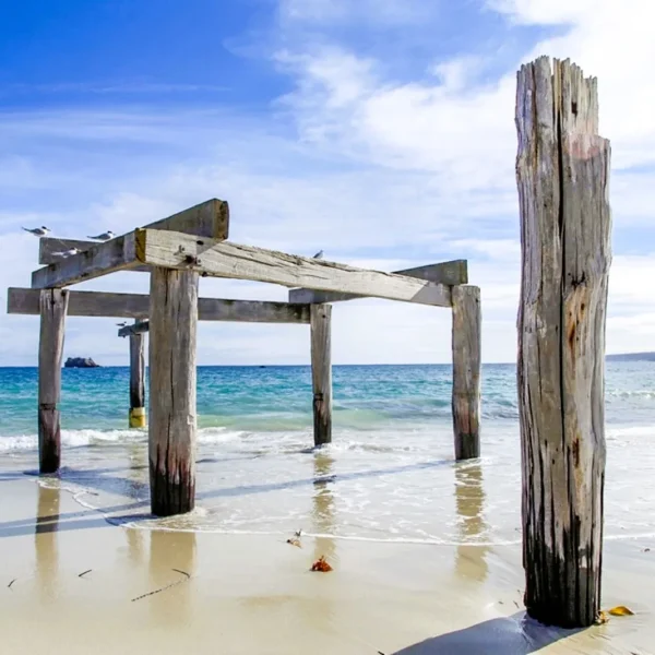 perth to margaret river tours