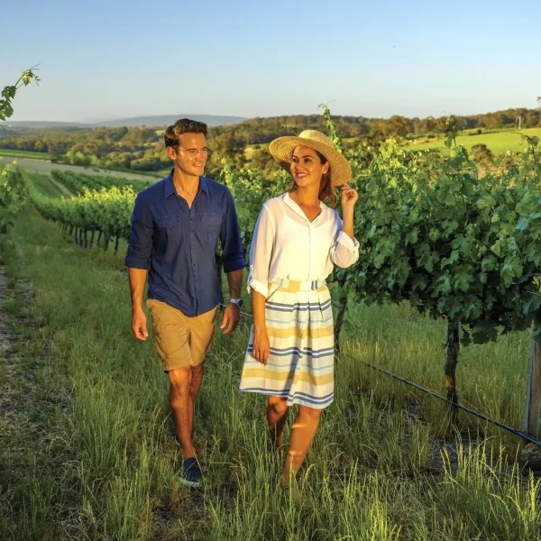 tours from perth to margaret river