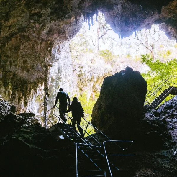 tours in margaret river