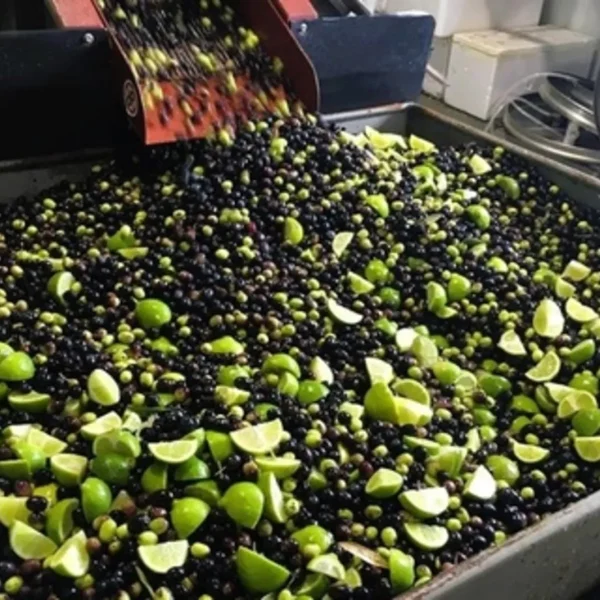 tours margaret river