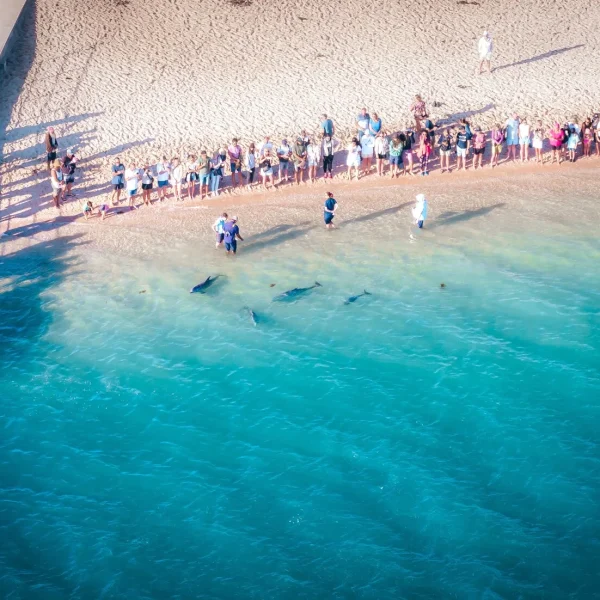 tours of western australia