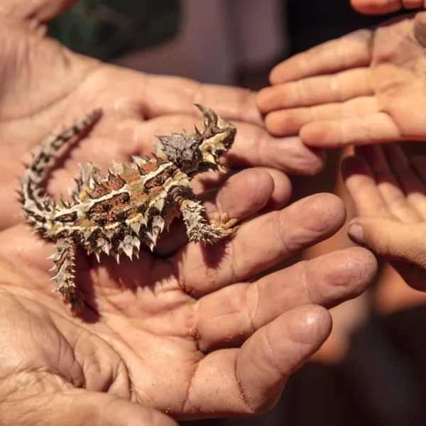 west coast tour itinerary