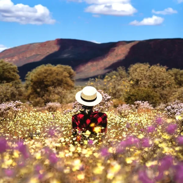 western australia bus tours