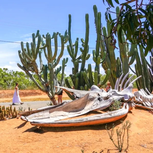 western australia tours from perth