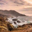 lindsaydjohn Avatar